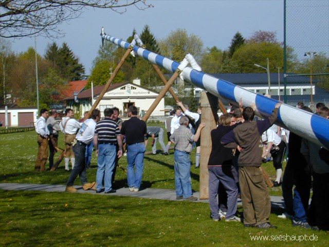 Jugend beim Maibaum aufstellen
