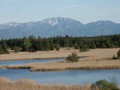 Gartensee, im Hintergrund die Beneditkenwand