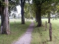 Weg zum Aussichtspunkt Emilsruh